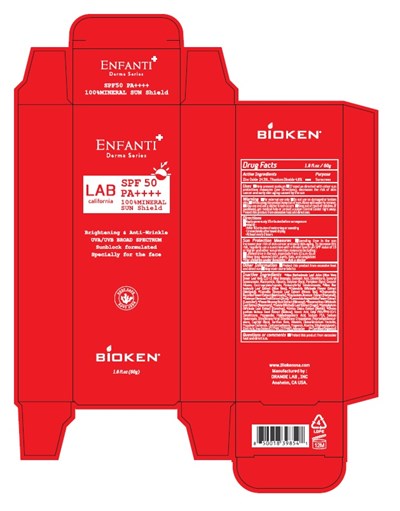 Outer Box (Package Outer Box)
